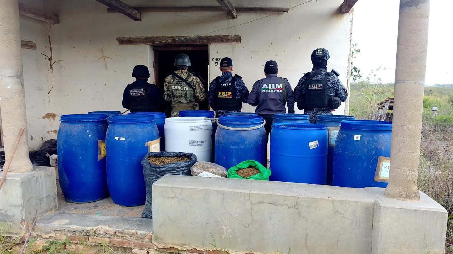Media tonelada de presunta marihuana asegurada en Cintalapa