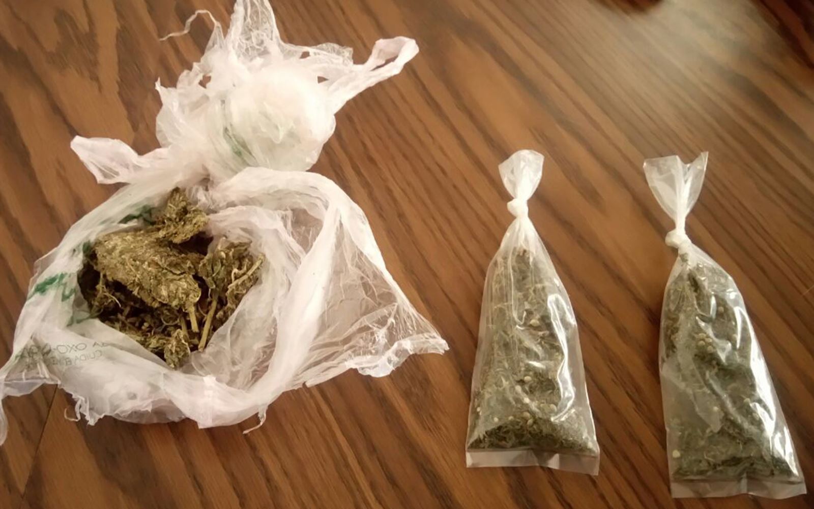 SSyPC asegura drogas en el Soconusco
